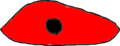 20120720174033