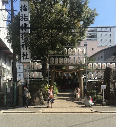 f:id:mrsdolphin:20200516224112j:image
