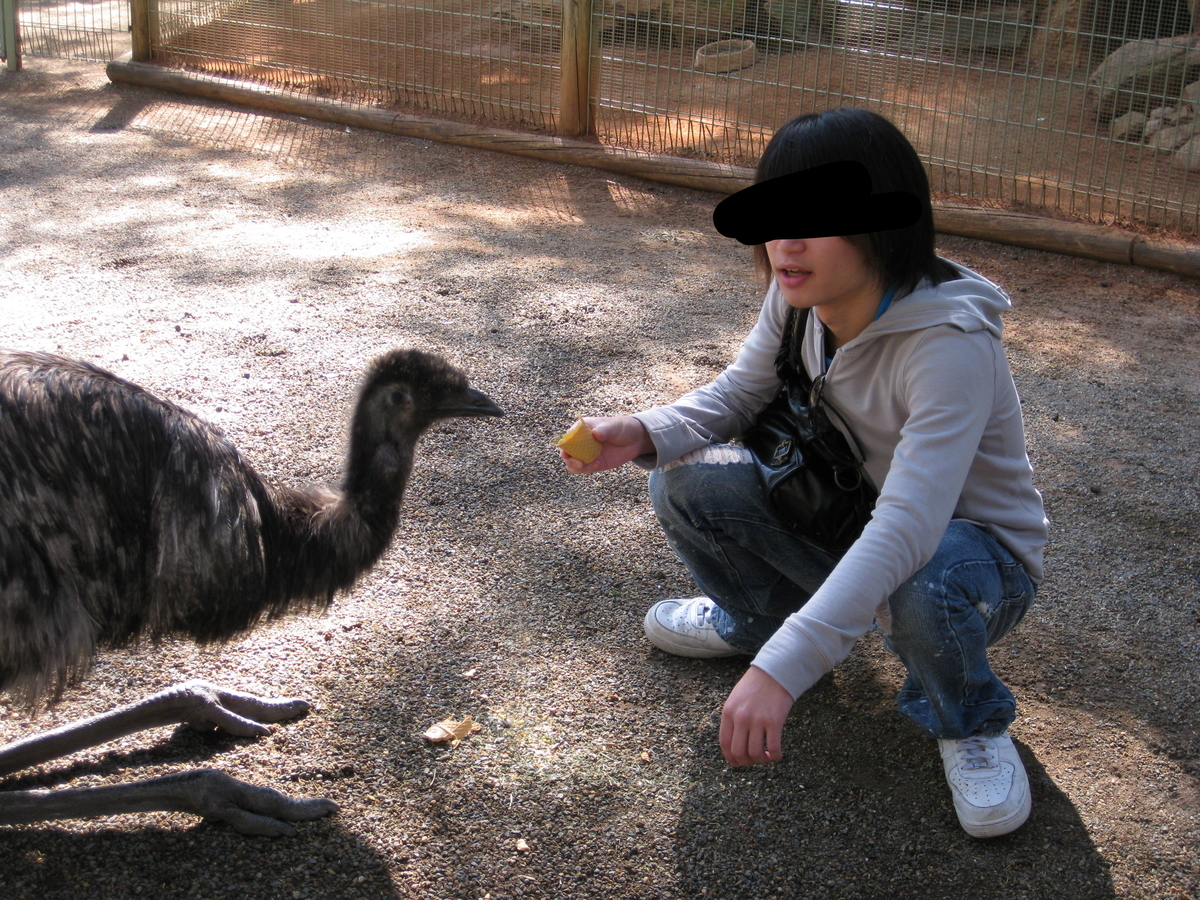 f:id:mrtkk1:20200504234012j:plain