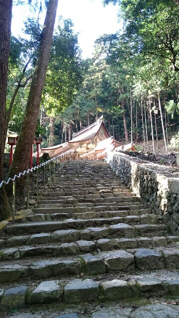 f:id:mruru:20171208103834j:plain f:id:mruru:20171208103834j:plain