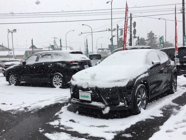 雪の日の走行