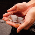 f:id:ms-diamonds-sea:20190505163636j:plain f:id:ms-diamonds-sea:20190505163636j:plain