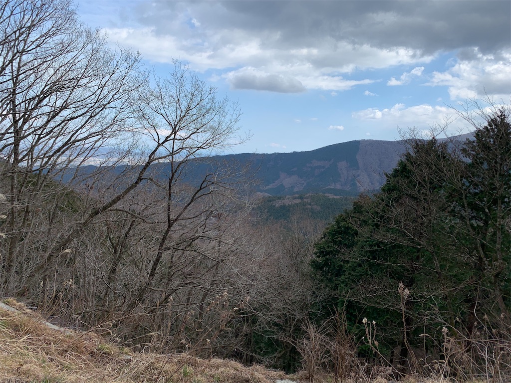 f:id:ms-grandioso:20190321215106j:image