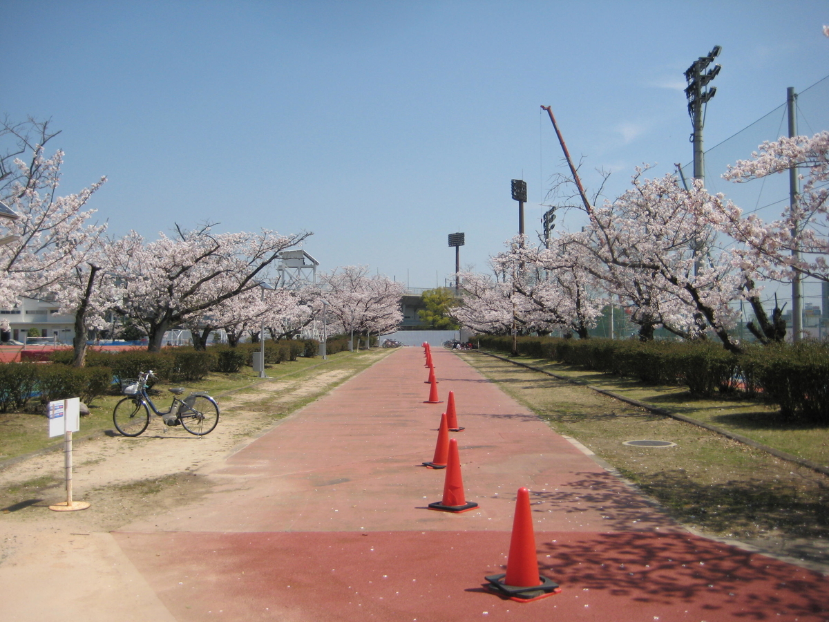 f:id:ms-present:20200404124119j:plain