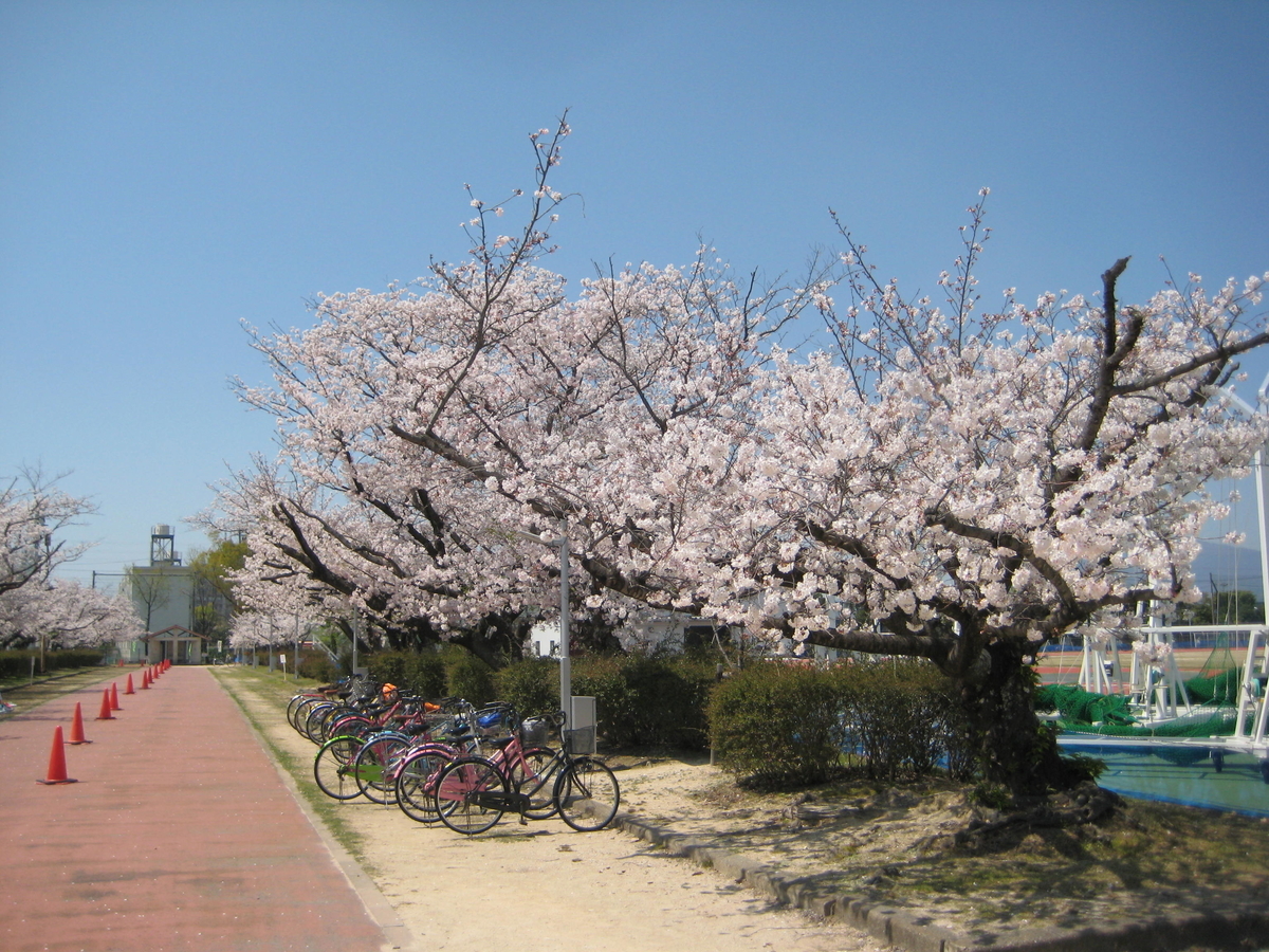 f:id:ms-present:20200404124245j:plain