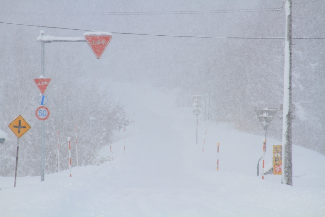 f:id:ms-righting:20180207150156j:plain f:id:ms-righting:20180207150156j:plain