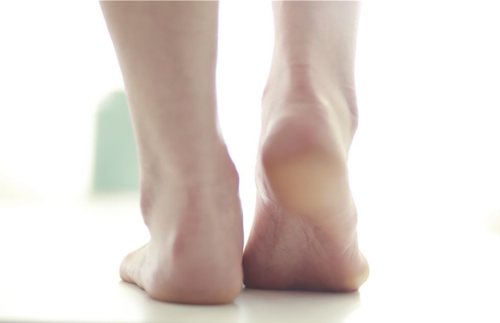 f:id:ms21:20210106082549j:image f:id:ms21:20210106082549j:image