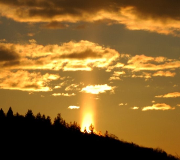 f:id:ms273747:20210211164914j:plain