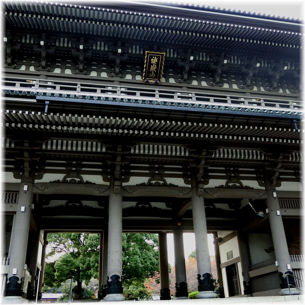 f:id:ms825ft:20171201235207j:plain f:id:ms825ft:20171201235207j:plain