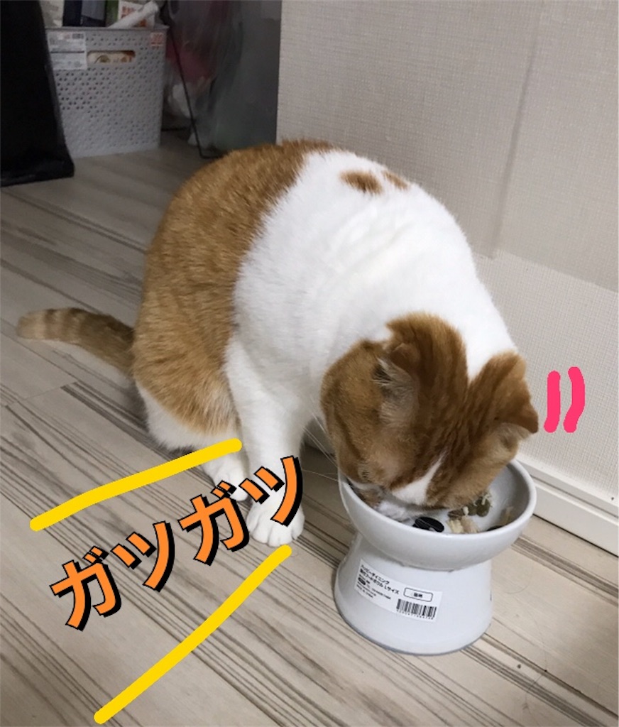 f:id:ms_floater:20200410181936j:image
