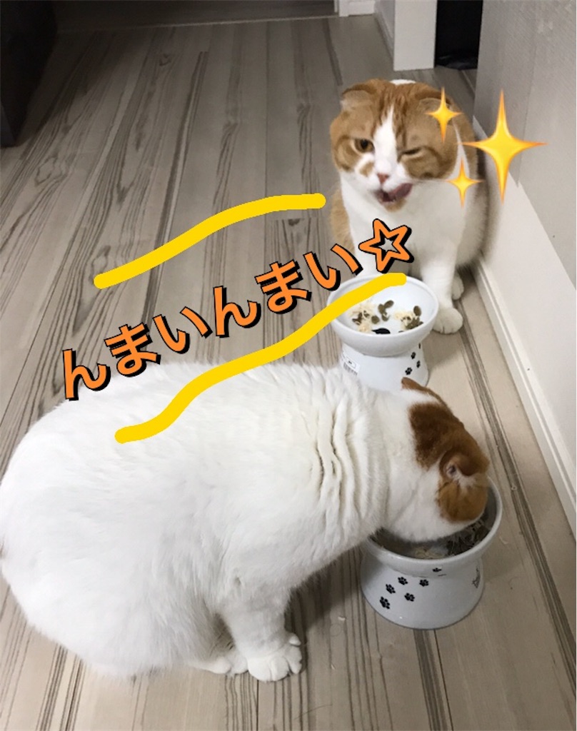 f:id:ms_floater:20200410181941j:image