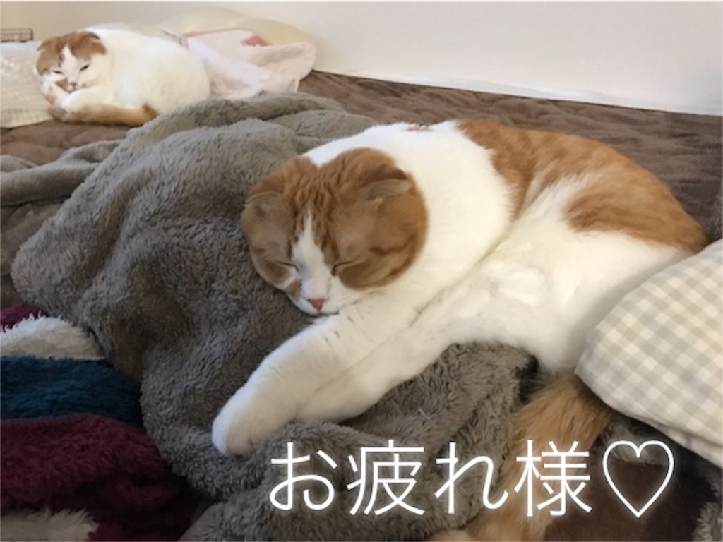 f:id:ms_floater:20200419181551j:image