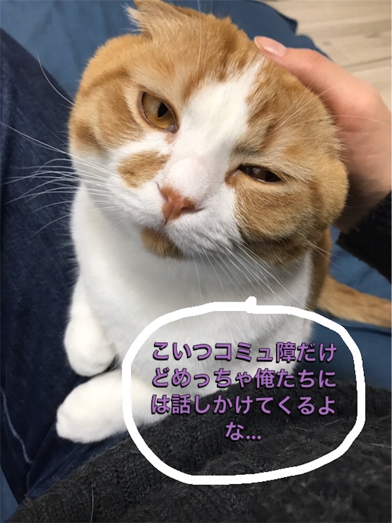 f:id:ms_floater:20200423164712j:image