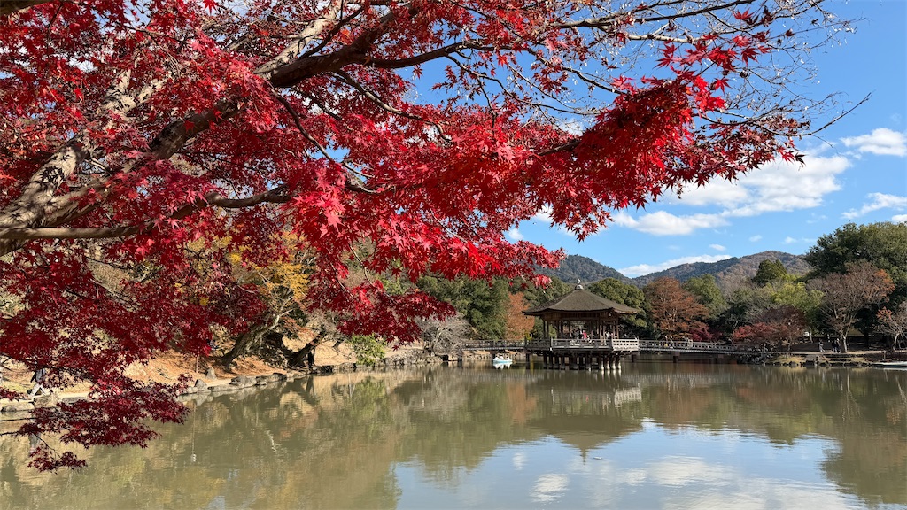 f:id:msasaki1963:20251130105730j:image