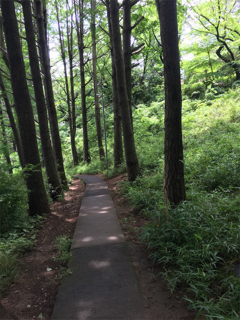 f:id:msatomi304:20180608090918j:image f:id:msatomi304:20180608090918j:image