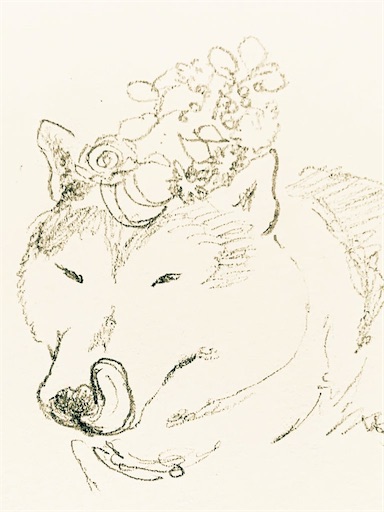 f:id:msatomi304:20201127150858j:image f:id:msatomi304:20201127150858j:image