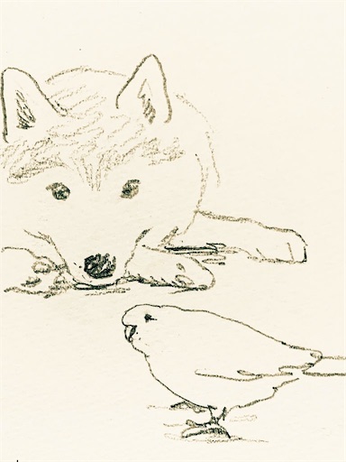 f:id:msatomi304:20201127150902j:image f:id:msatomi304:20201127150902j:image