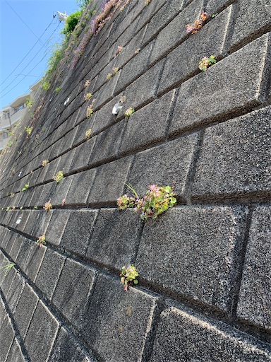 f:id:msatomi304:20230420130643j:image