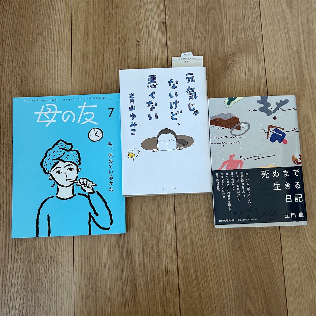 f:id:msatomi304:20240619172432j:image