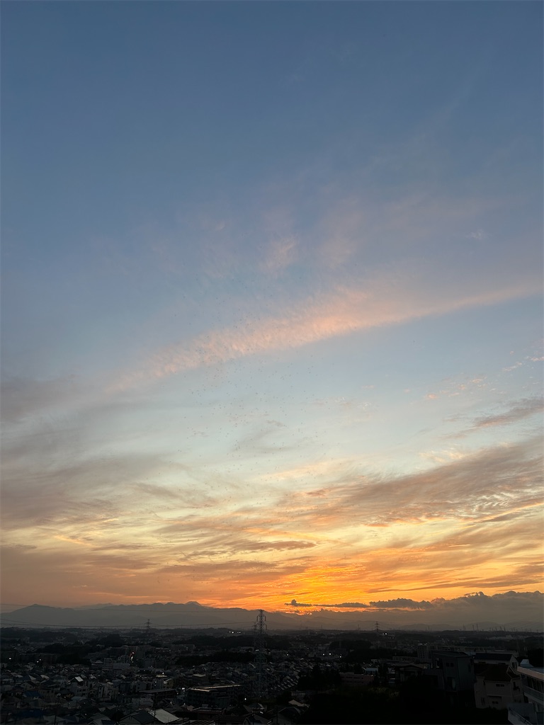 f:id:msatomi304:20241016203316j:image