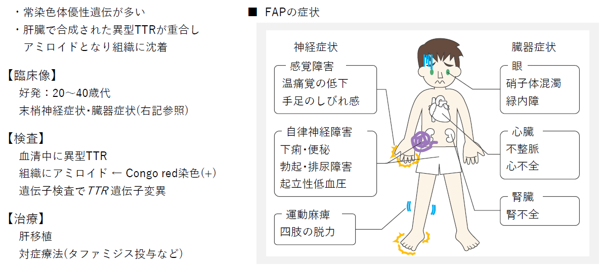 f:id:msayuringo0827:20200729195759p:plain f:id:msayuringo0827:20200729195759p:plain