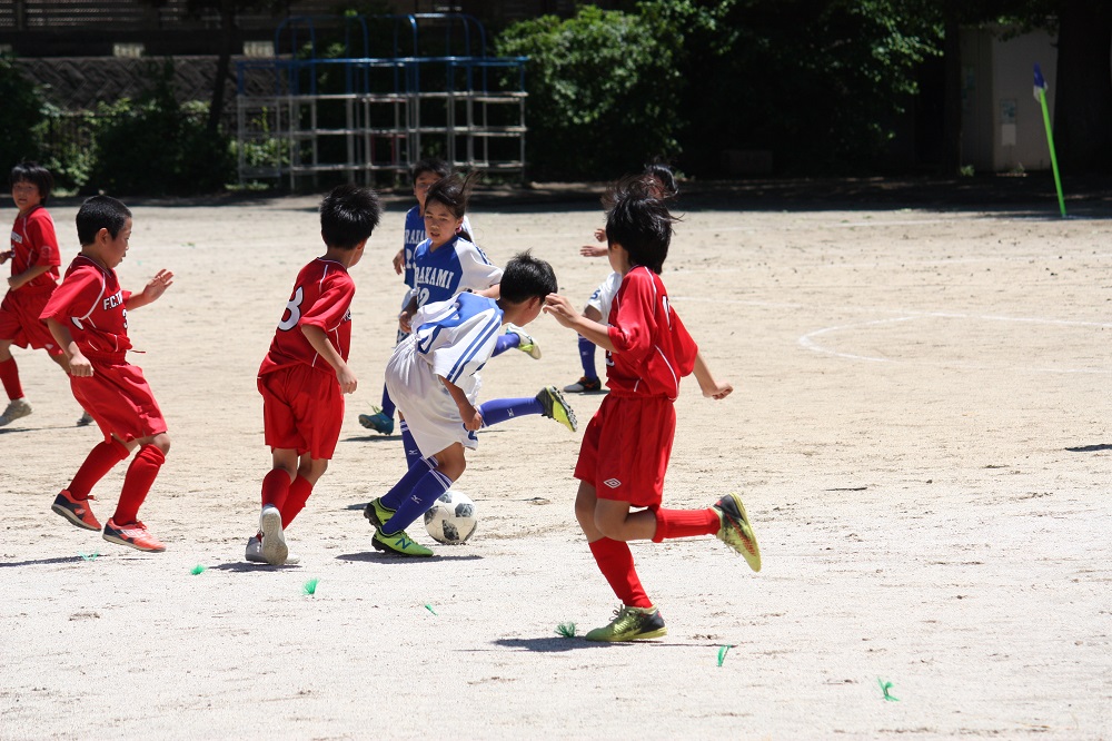 f:id:msc-blog:20190630173203j:plain