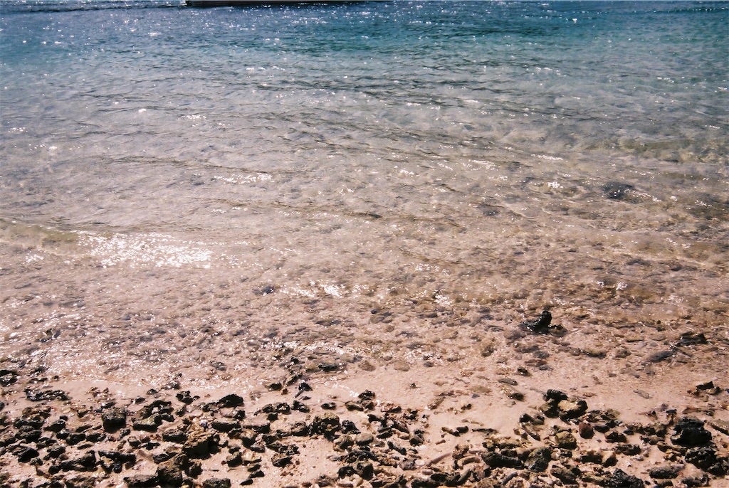 f:id:mscl25:20190917180233j:image