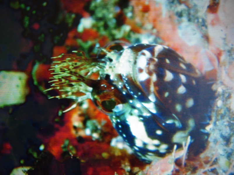 f:id:mscstuff01:20120723222812j:image