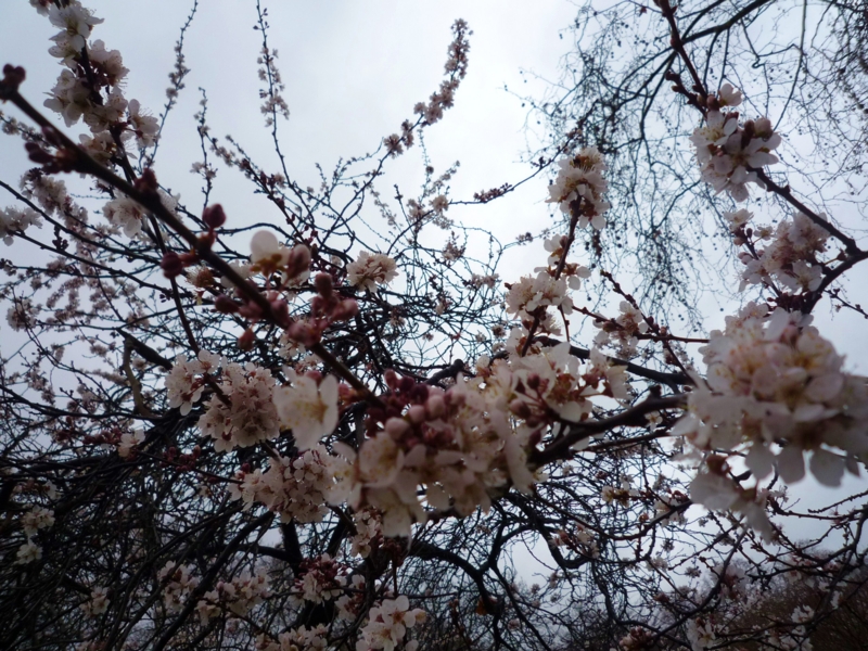 f:id:mseee:20120304194148j:image:w360