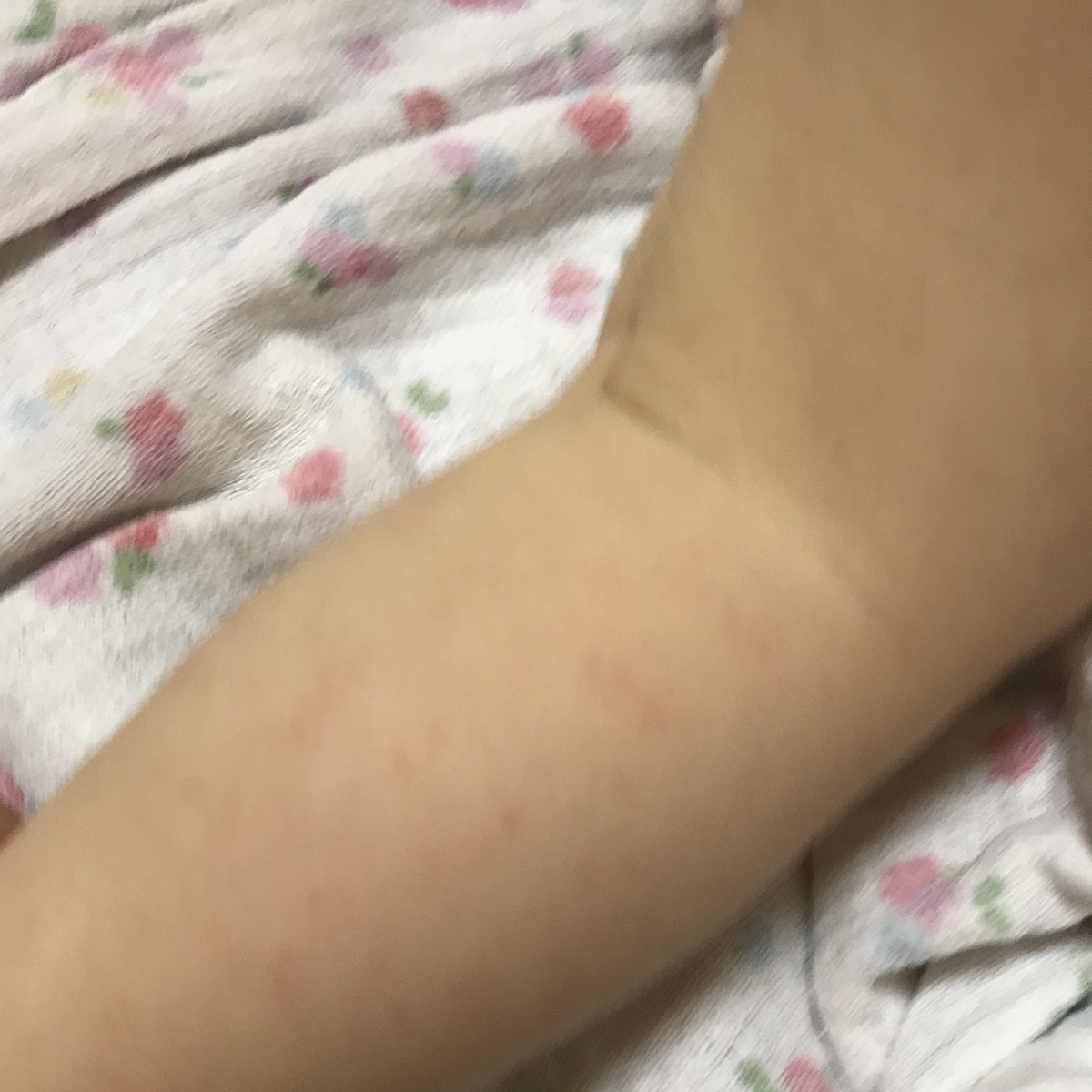 f:id:msetsu:20190615142053j:plain f:id:msetsu:20190615142053j:plain