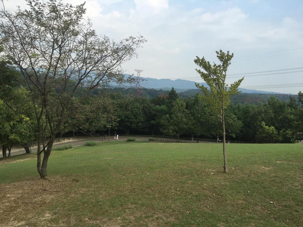 f:id:mshimfujin:20160816221810j:plain f:id:mshimfujin:20160816221810j:plain