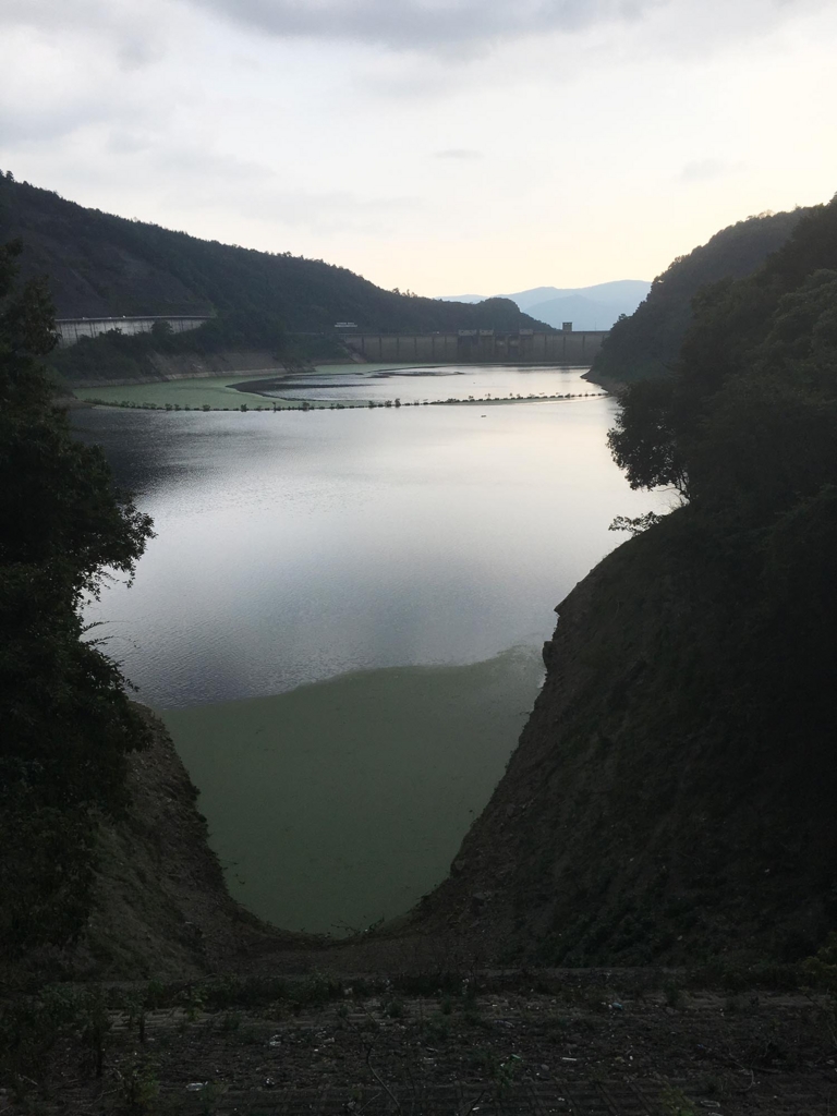 f:id:mshimfujin:20160817011048j:plain f:id:mshimfujin:20160817011048j:plain