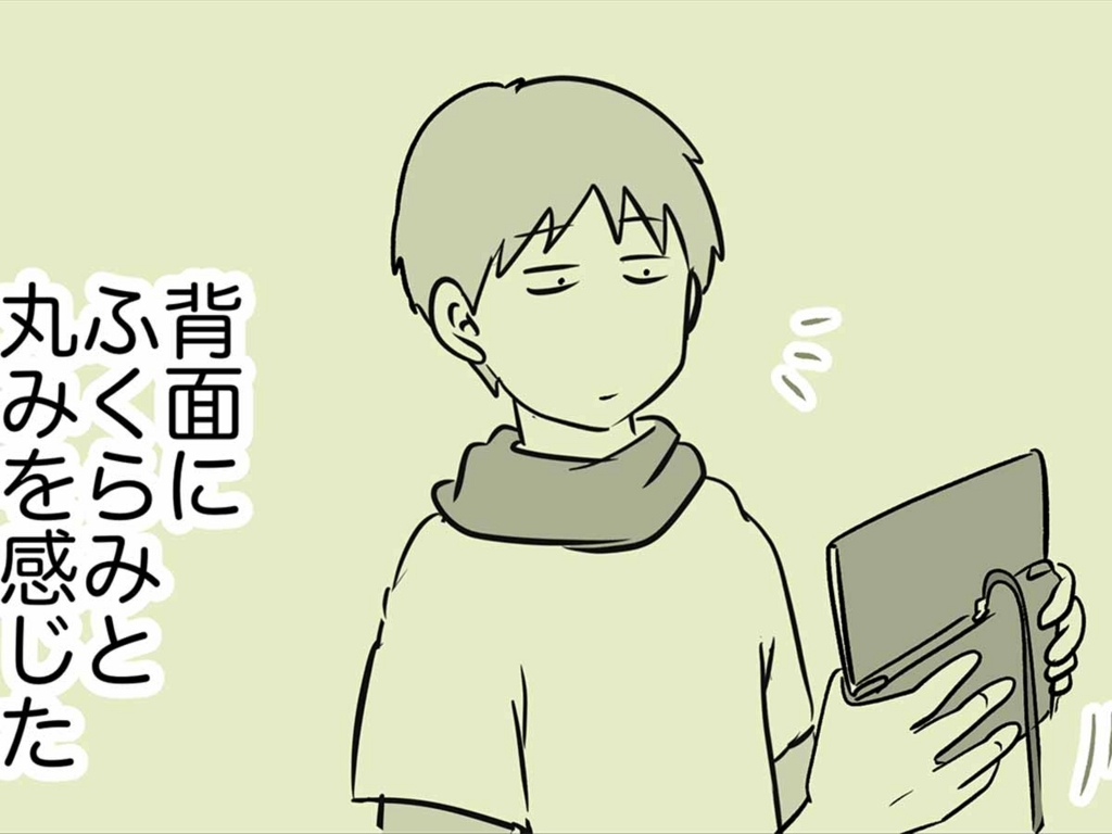 旧3ds Llのバッテリーを交換した えむしとえむふじんがあらわれた