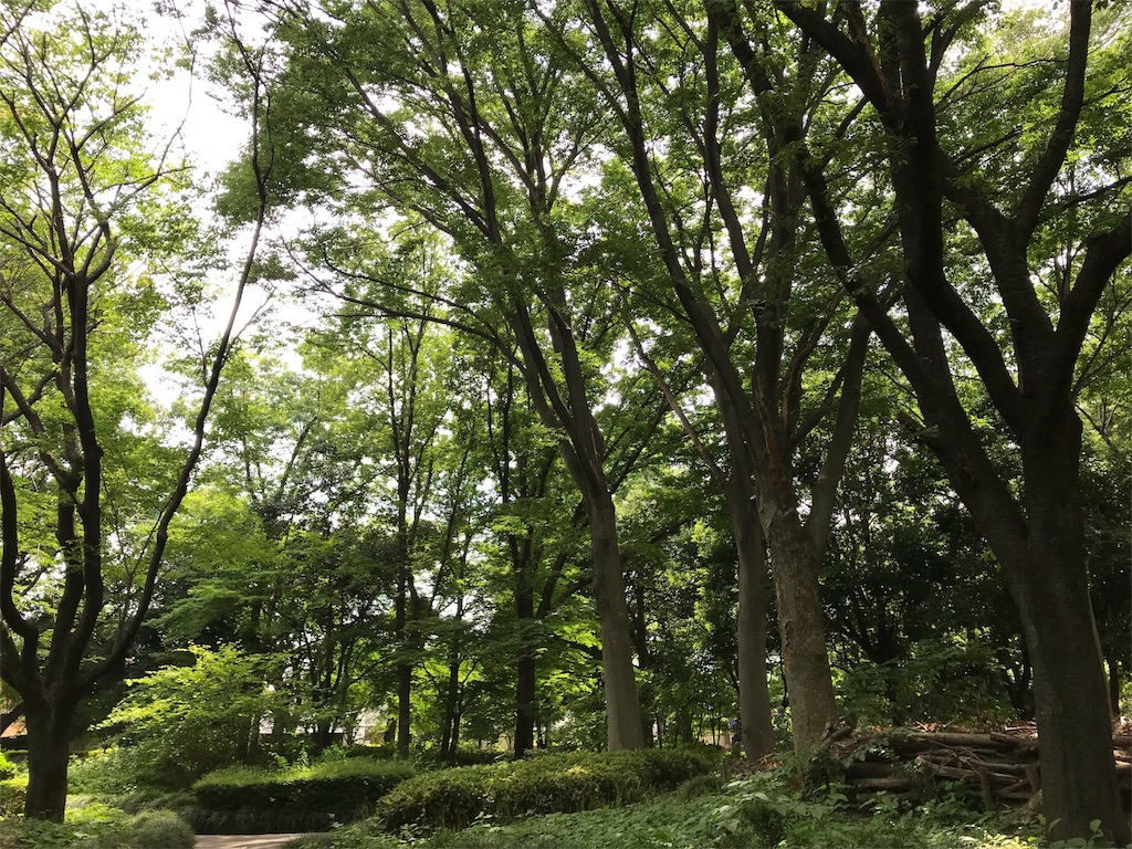 f:id:msk_mioakiyama:20180621215513j:image