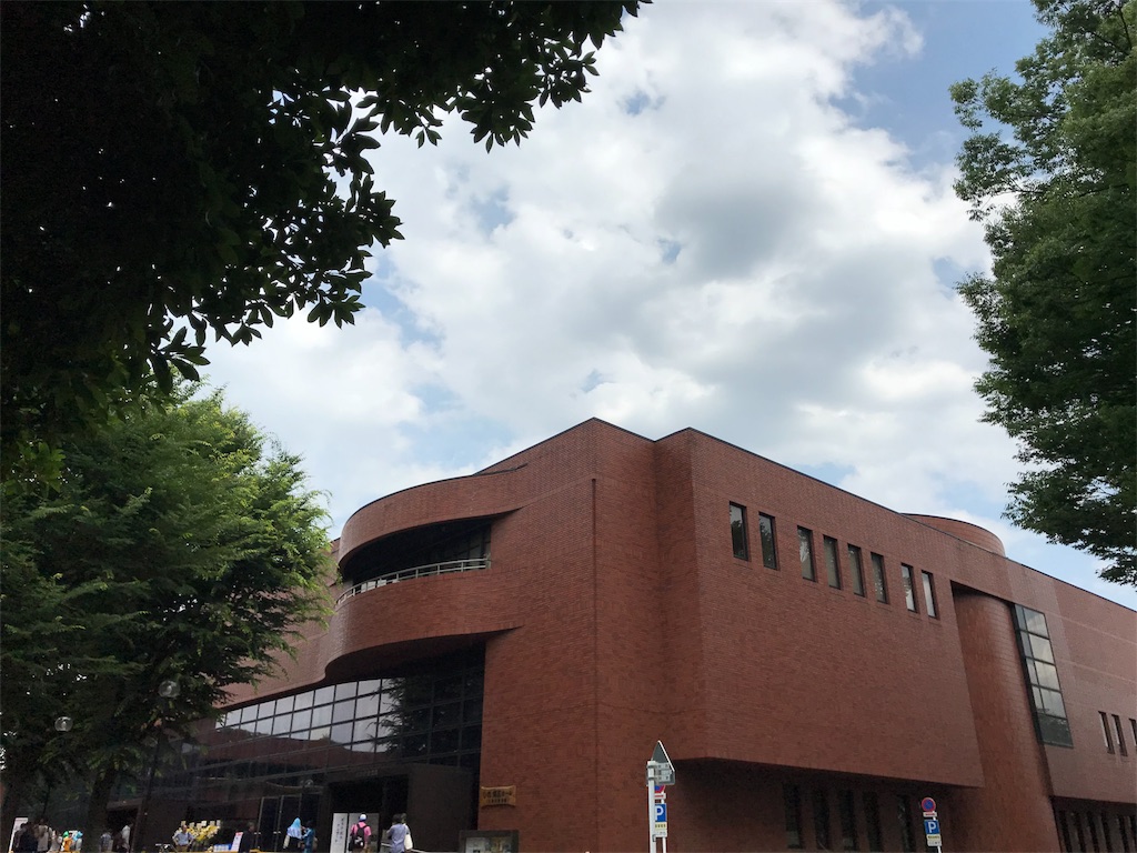 f:id:msk_mioakiyama:20180621215540j:image