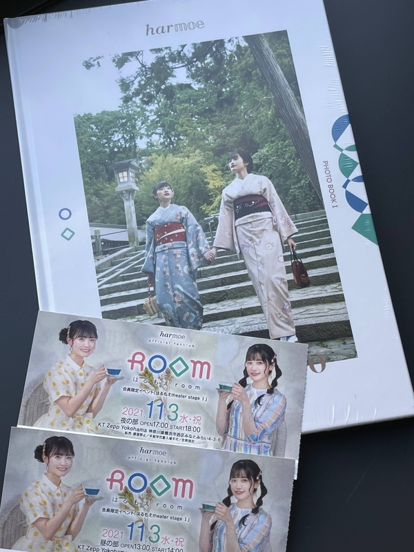 f:id:msk_mioakiyama:20211105224533j:plain