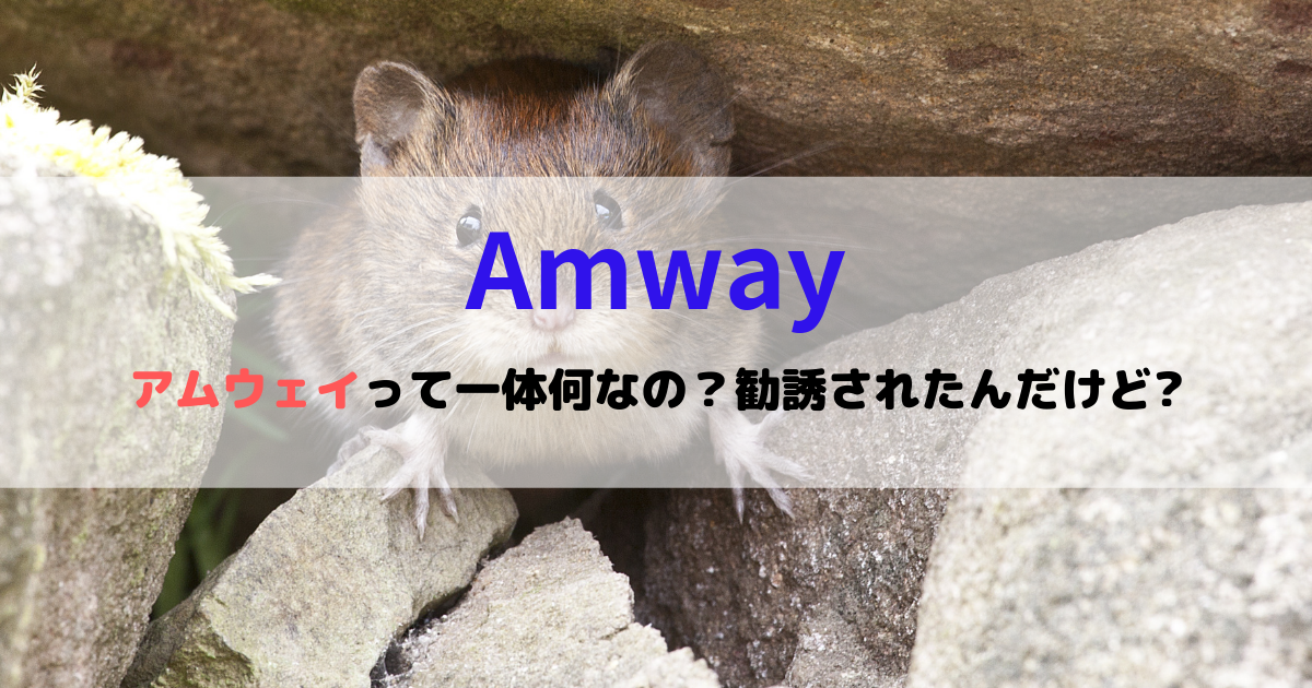 f:id:mskwblog:20190725183852p:plain f:id:mskwblog:20190725183852p:plain