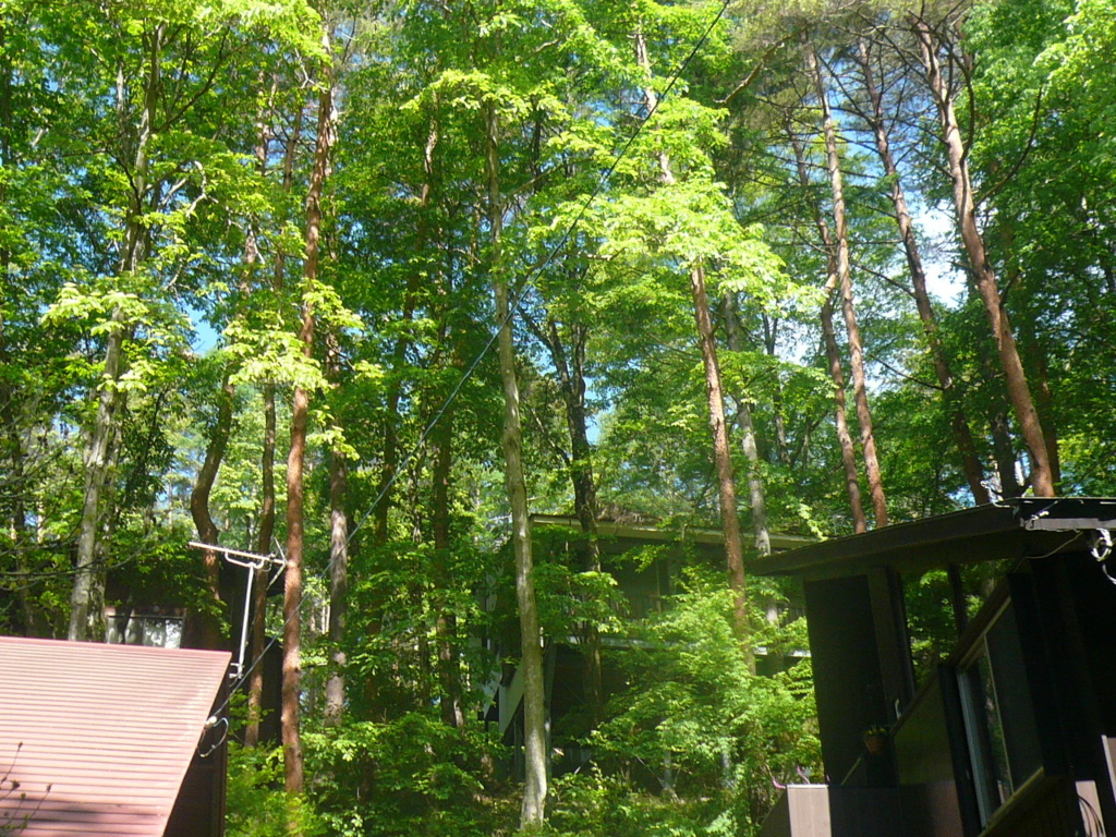 f:id:mskywalk:20170627102050j:plain f:id:mskywalk:20170627102050j:plain