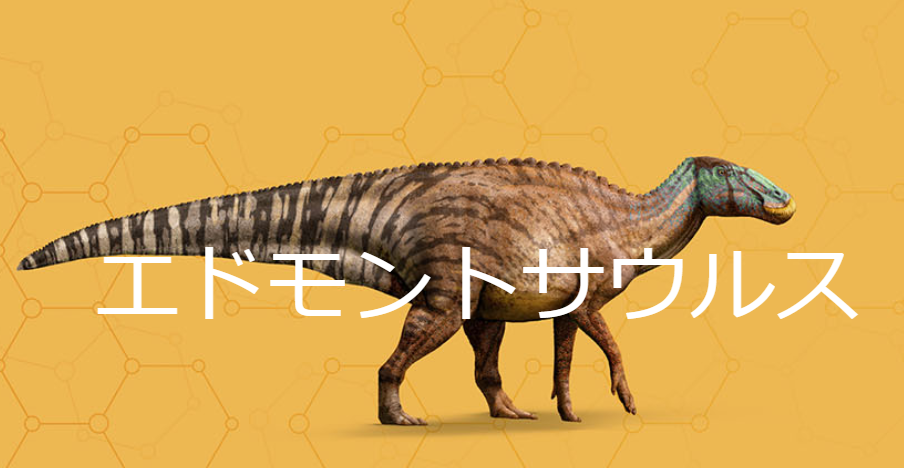 ケラトゥス・ウーマンのリーフレット