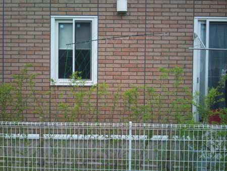 f:id:msml:20110507165202j:image