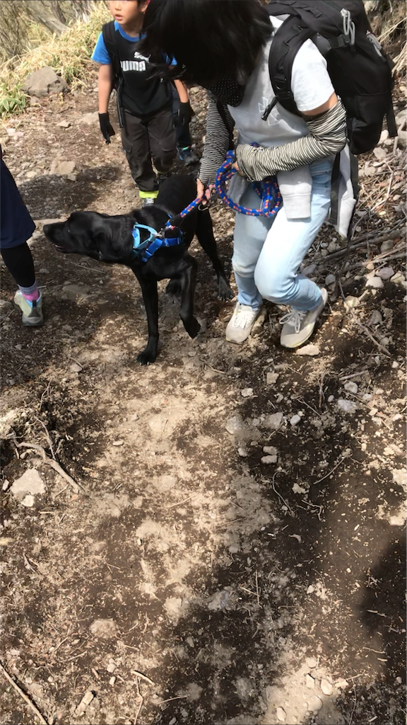 f:id:msms795:20180518050014p:image