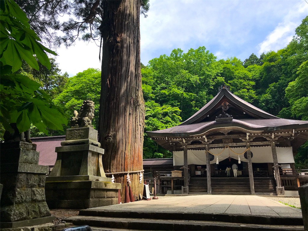 f:id:msms795:20180619060646j:image