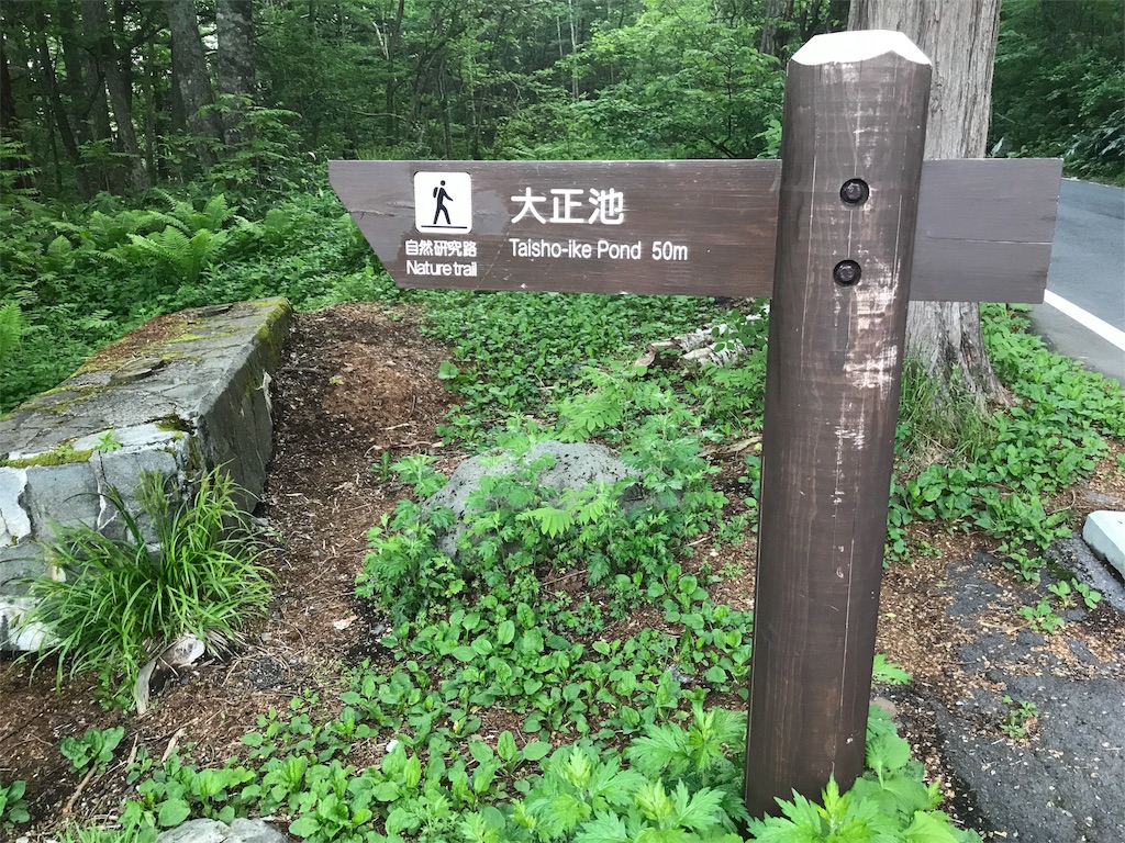 f:id:msms795:20180709005437j:image