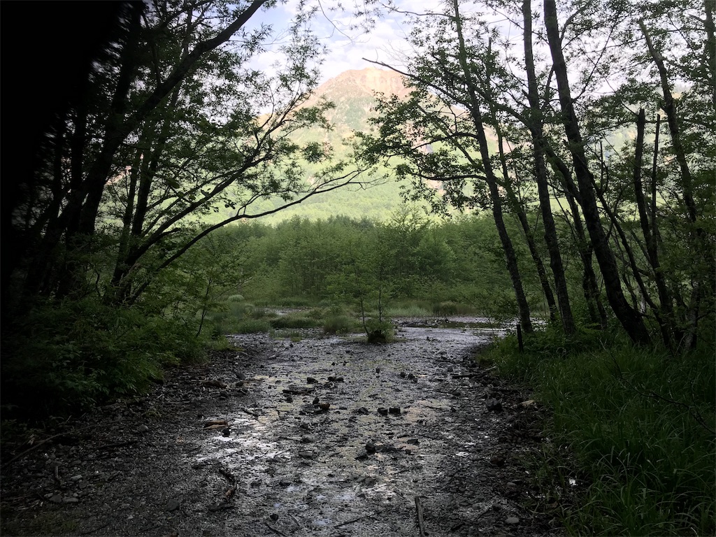 f:id:msms795:20180709005822j:image