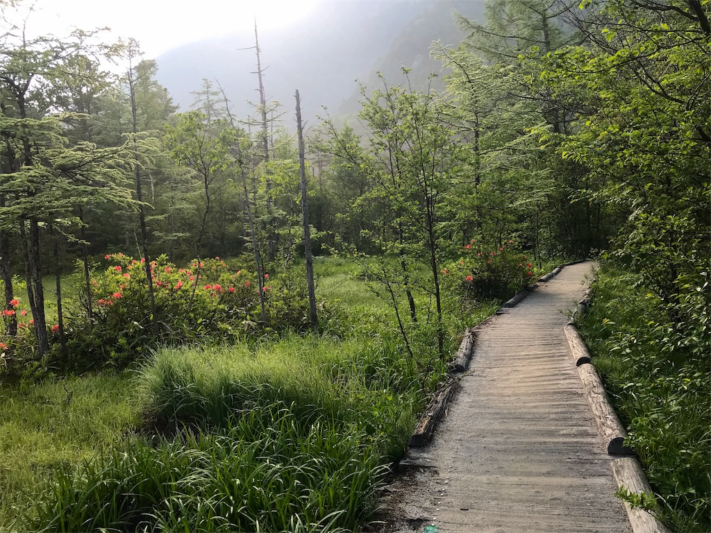 f:id:msms795:20180709005916j:image