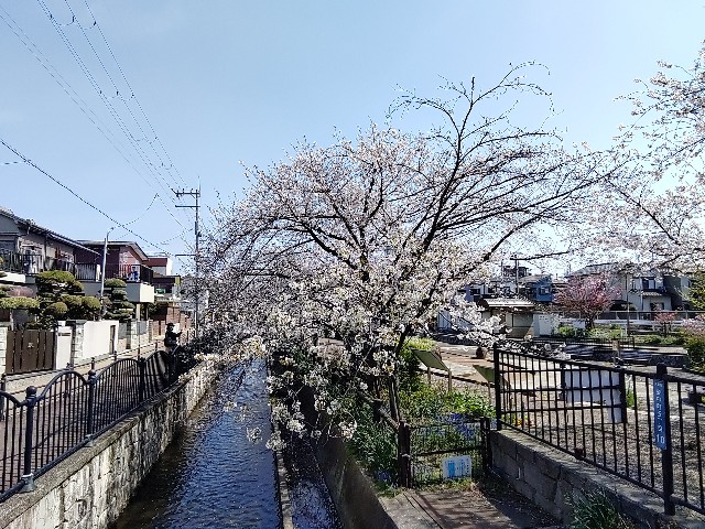 f:id:msokikaku:20230403092014j:image f:id:msokikaku:20230403092014j:image