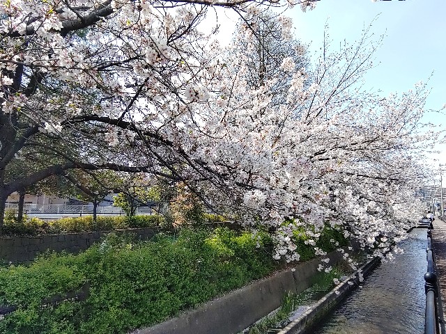 f:id:msokikaku:20230403092036j:image f:id:msokikaku:20230403092036j:image
