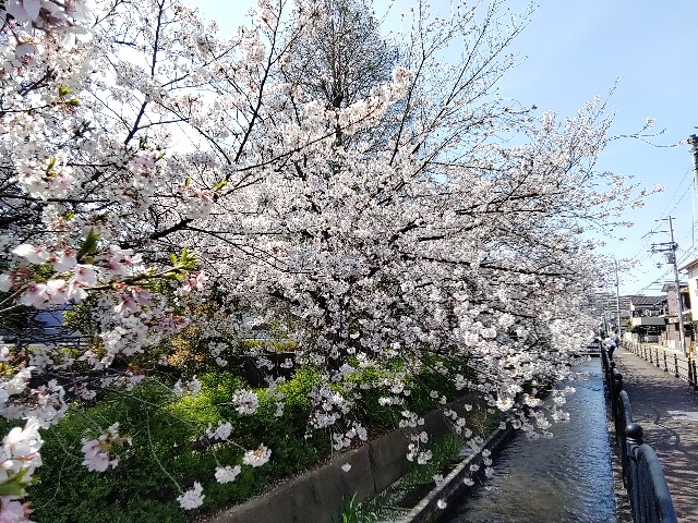 f:id:msokikaku:20230403092052j:image f:id:msokikaku:20230403092052j:image