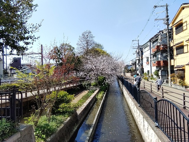 f:id:msokikaku:20230403092127j:image f:id:msokikaku:20230403092127j:image
