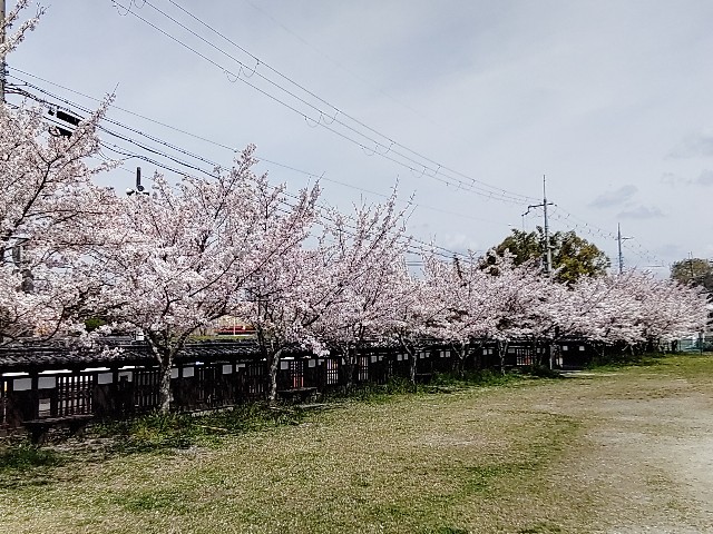 f:id:msokikaku:20230412165538j:image f:id:msokikaku:20230412165538j:image